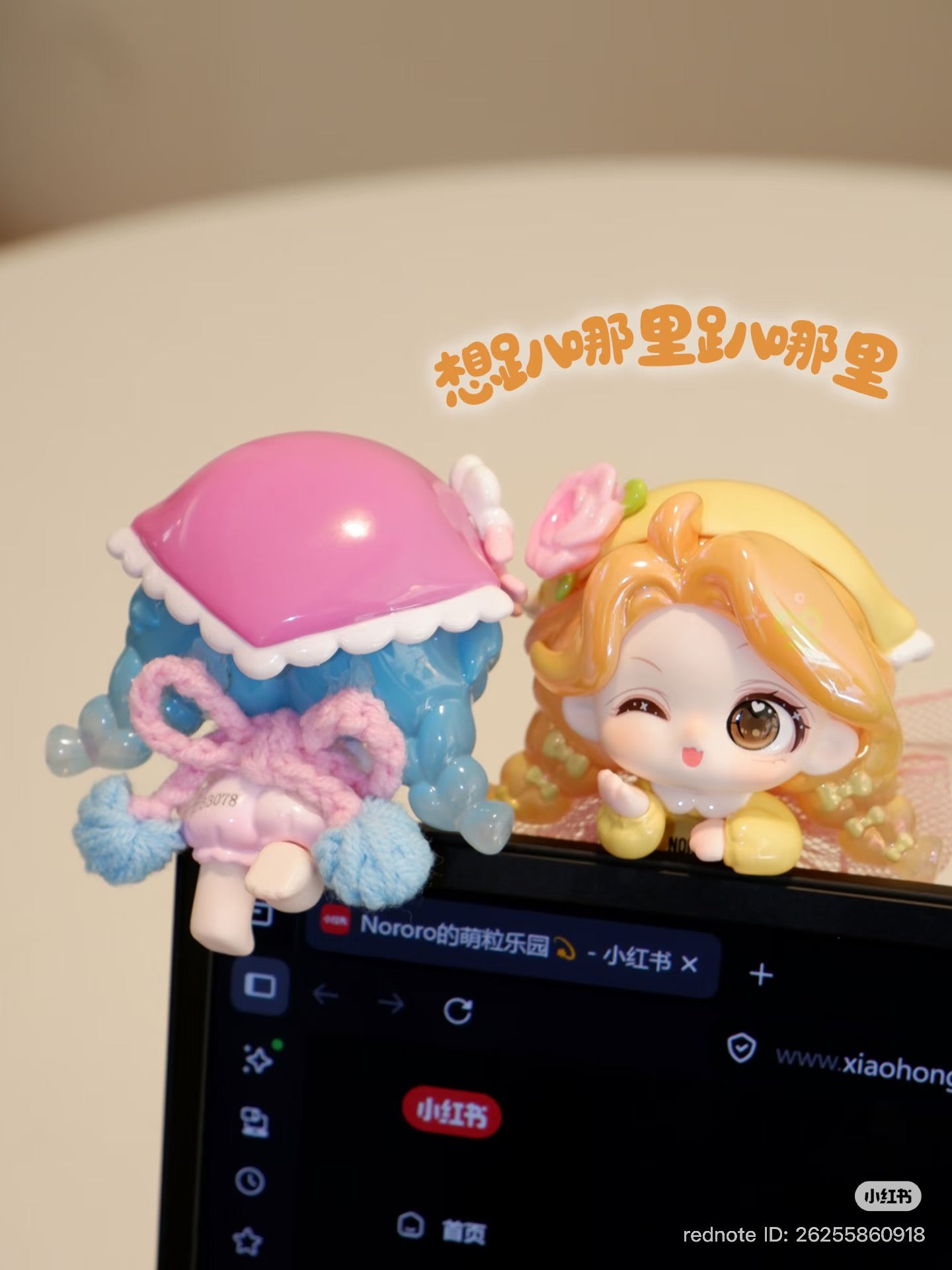 MIMIZ Home Diary