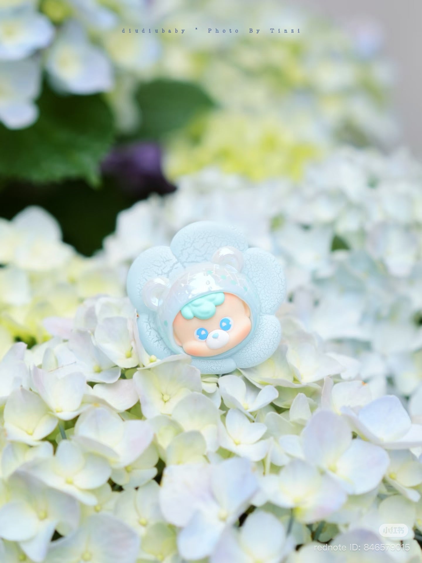 Diudiu Bear Flower World