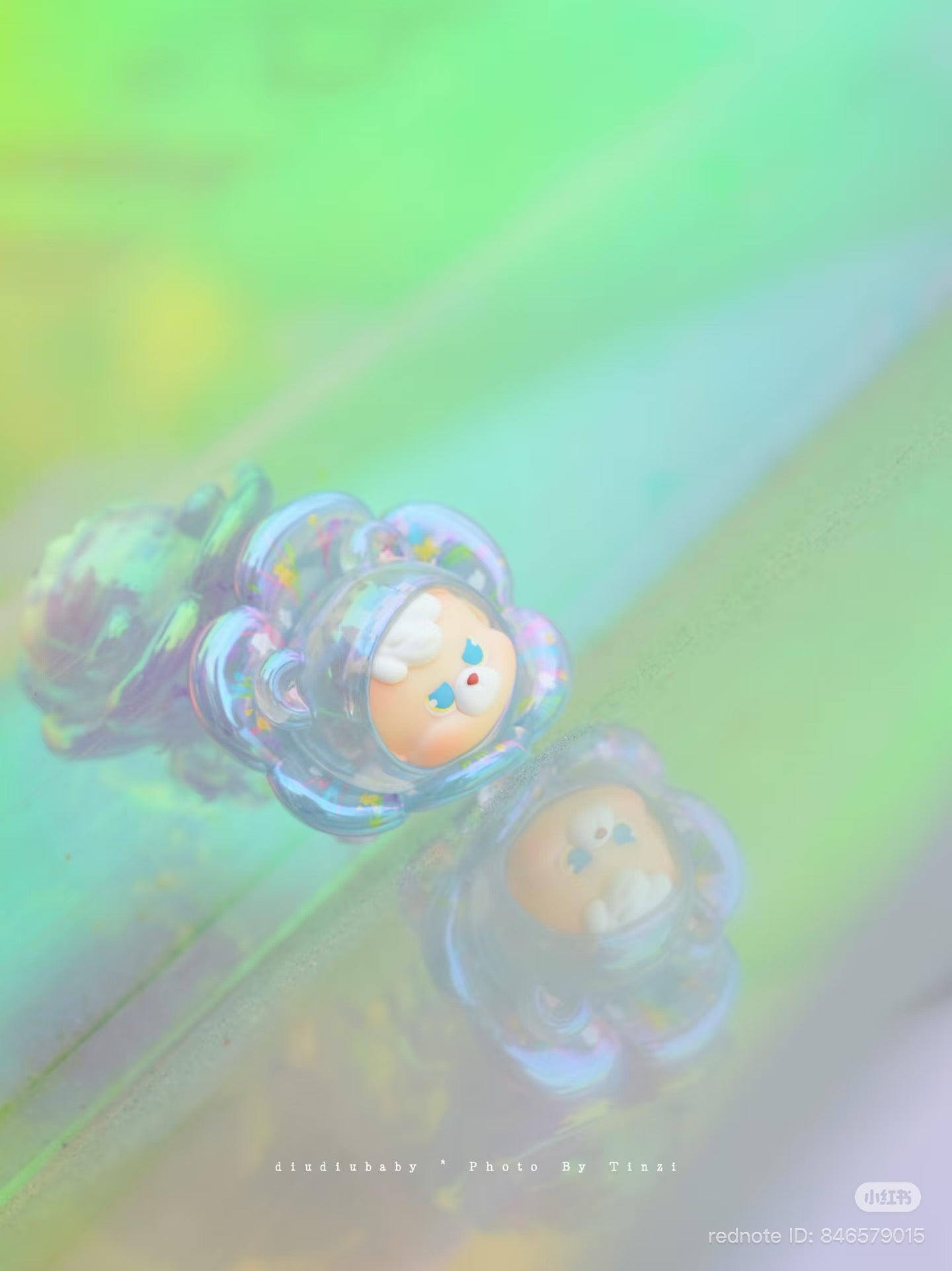Diudiu Bear Flower World